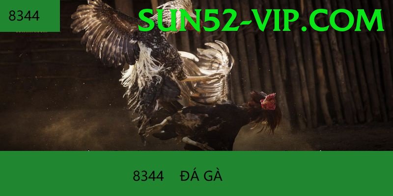 Trường Đấu Đá Gà Chuyên Nghiệp - Cộng đồng